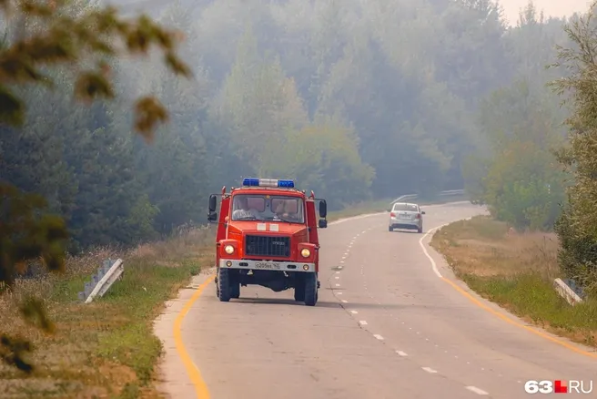 В Самарской области до 2 ноября запретили посещать леса