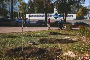 В Самаре в сквере Шанхай вырубили деревья и высадили молодые липы