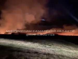 В Безенчукском лесничестве потушили крупный лесной пожар