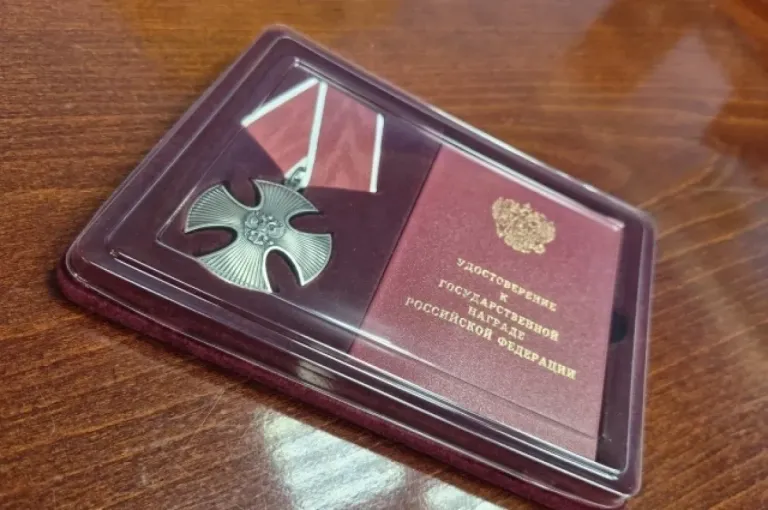 В Тольятти семьям погибших бойцов СВО вручили ордена Мужества